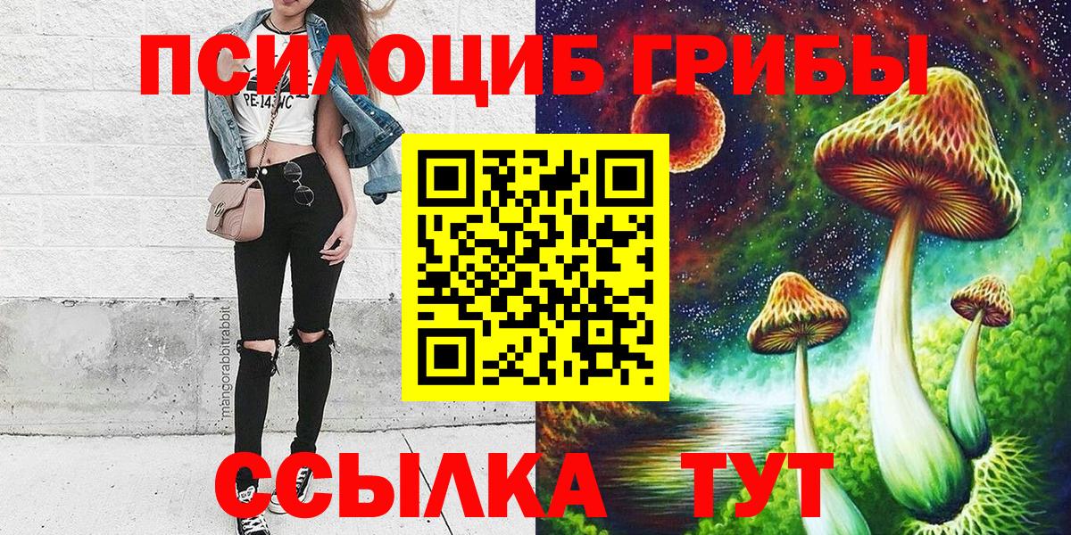Псилоцибиновые грибы Psilocybe Орёл