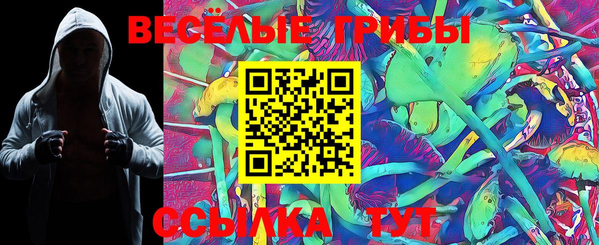 Псилоцибиновые грибы Magic Shrooms  Вход с VPN  Псилоцибиновые грибы ЛСД  Орёл 